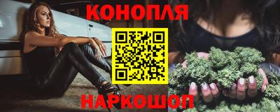 spice Кингисепп