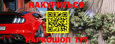 spice Кингисепп