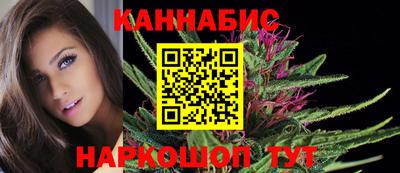 spice Кингисепп
