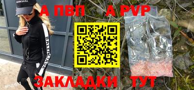 spice Кингисепп