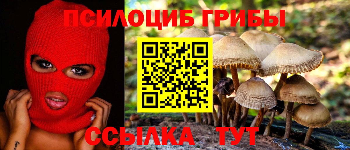 Галлюциногенные грибы мицелий Шадринск