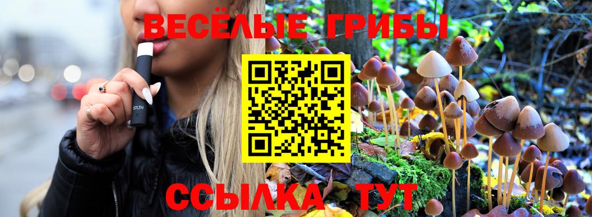 Псилоцибиновые грибы мухоморы  Вход с VPN  как найти закладки  Шадринск 
