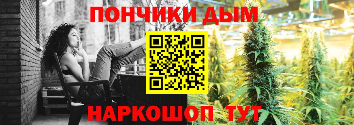 Шадринск  МАРИХУАНА White Widow  Марихуана гибрид  Марихуана марихуана  Вход с VPN 